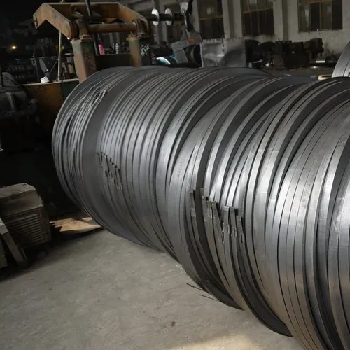 Stainless Steel Strip